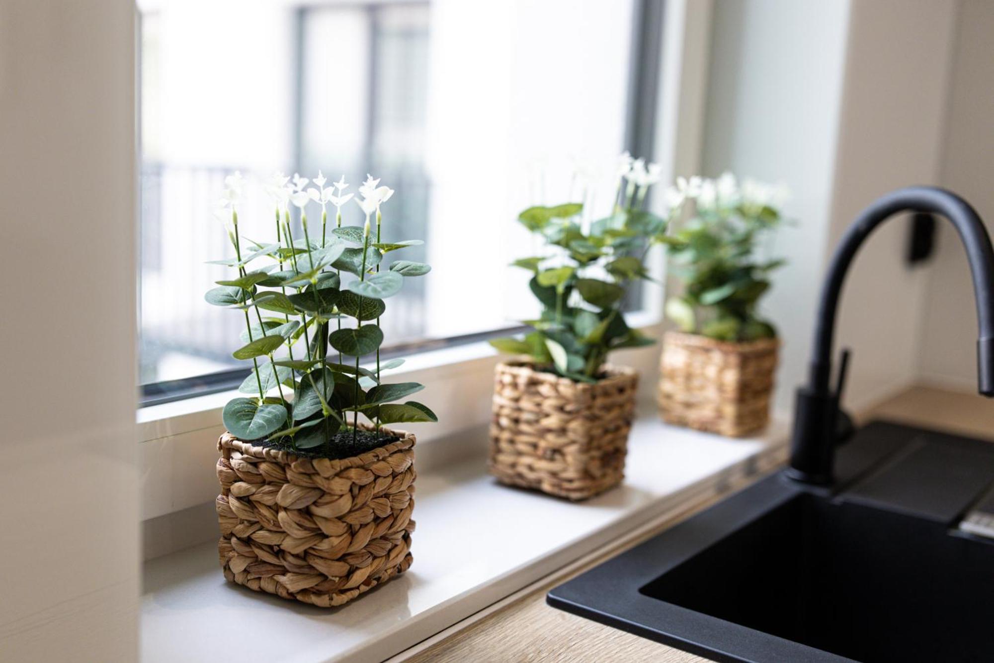 Lm Apartamenty Narutowicza Kamienica Nova 2-3 Szczecin Ngoại thất bức ảnh