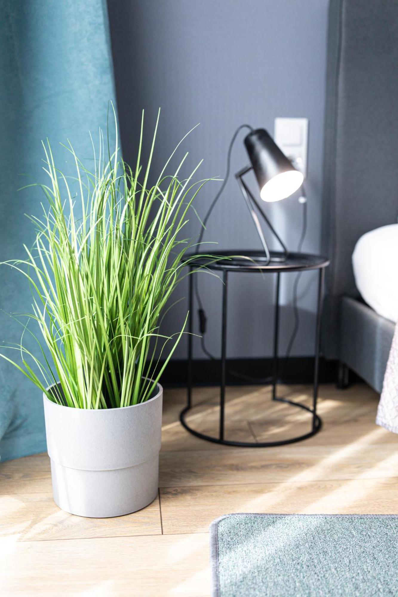 Lm Apartamenty Narutowicza Kamienica Nova 2-3 Szczecin Ngoại thất bức ảnh
