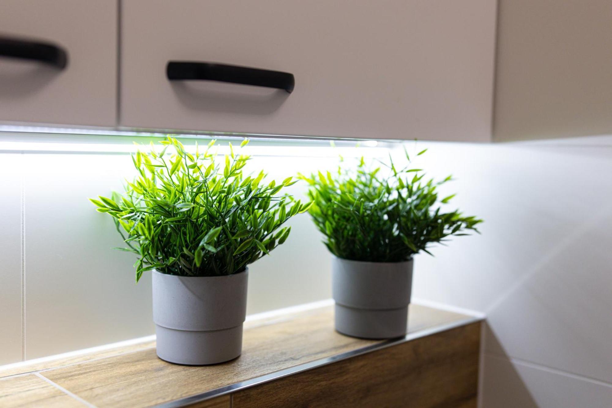 Lm Apartamenty Narutowicza Kamienica Nova 2-3 Szczecin Ngoại thất bức ảnh